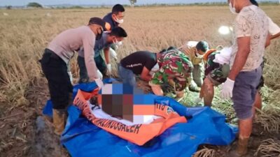 Korban Banjir yang Hilang Ditemukan Meninggal Dunia di Persawahan Paloh Raya