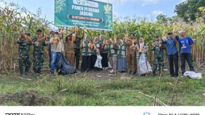 Perkuat Ketahanan Pangan, Vinca Farm dan Kodim 0103/Aut Panen Perdana Jagung Pipil di Lhokseumawe
