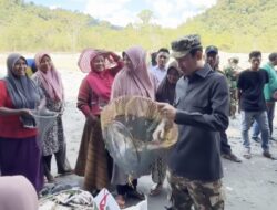 HEBOH! Sungai Sikundo Mendadak Dipenuhi Ribuan Udang Pascabanjir Aceh, Warga Panen Rezeki Tak Terduga