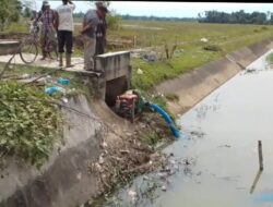 Bendung DI Krueng Pase Rusak, Petani Meurah Mulia Andalkan Sumur Bor untuk Selamatkan Sawah