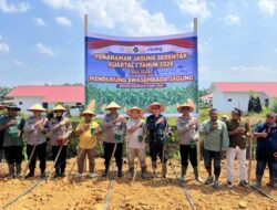 Dukung Swasembada Pangan, Polres Lhokseumawe Tanam Jagung Serentak Kuartal I Tahun 2026