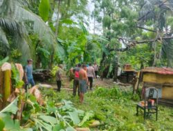 Polisi Cepat Tanggap, Evakuasi Pohon Tumbang yang Timpa Rumah Warga di Blang Panyang