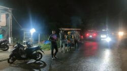 Pohon Kelapa Tumbang Timpa Kabel PLN di Muara Satu, Polisi dan PLN Gerak Cepat Pulihkan Listrik
