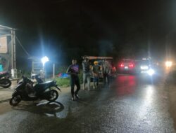 Pohon Kelapa Tumbang Timpa Kabel PLN di Muara Satu, Polisi dan PLN Gerak Cepat Pulihkan Listrik