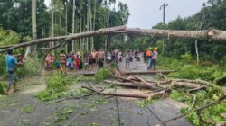 Pohon dan Tiang Listrik Roboh Tutup Jalan, Polisi Bersama Warga Lakukan Evakuasi