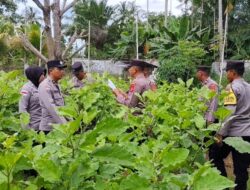 Sambut HUT Bhayangkara ke-80, Polres Lhokseumawe Gelar Penilaian Lomba Ketahanan Pangan