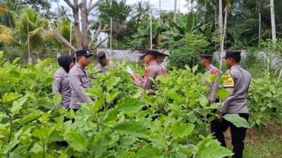 Sambut HUT Bhayangkara ke-80, Polres Lhokseumawe Gelar Penilaian Lomba Ketahanan Pangan
