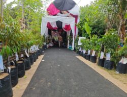 Pernikahan Putri Ketua DPRK Aceh Utara Dukung Gerakan Go Green Kapolres Lhokseumawe, Ucapan Selamat Diganti Bibit Pohon