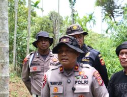 Polres Lhokseumawe Buru Dua Pemilik Ladang Ganja, Identitas Pelaku Sudah Dikantongi