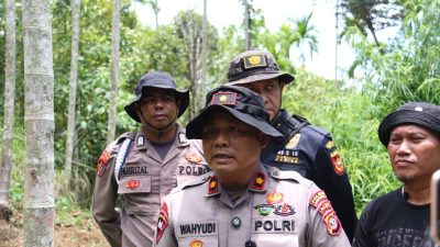 Polres Lhokseumawe Buru Dua Pemilik Ladang Ganja, Identitas Pelaku Sudah Dikantongi