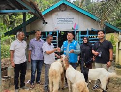 Dorong Ekonomi Warga, PLN NP UP Arun Bantu Kelompok Tani Ujung Jaya