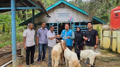 Dorong Ekonomi Warga, PLN NP UP Arun Bantu Kelompok Tani Ujung Jaya