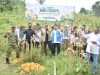 Program Meusara PLN NP UP Arun Hasilkan Panen Perdana 1 Ton Jagung di Lhokseumawe