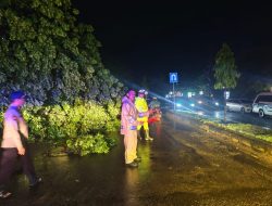 Hujan Lebat dan Angin Kencang, Polisi Bersama Tim Gabungan Evakuasi Pohon Tumbang Timpa Rumah dan Mobil di Lhokseumawe